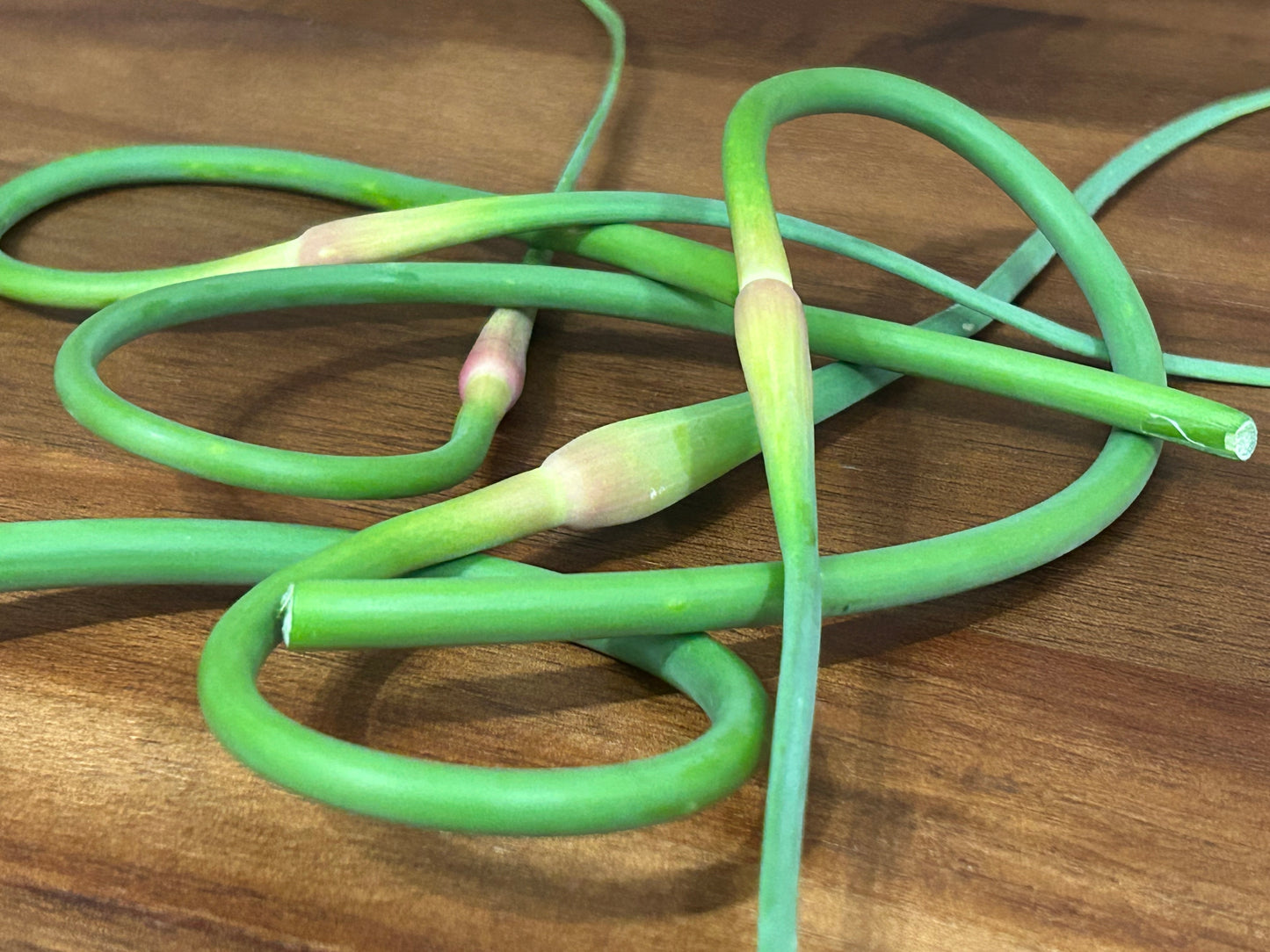 Garlic Scape Pepper
