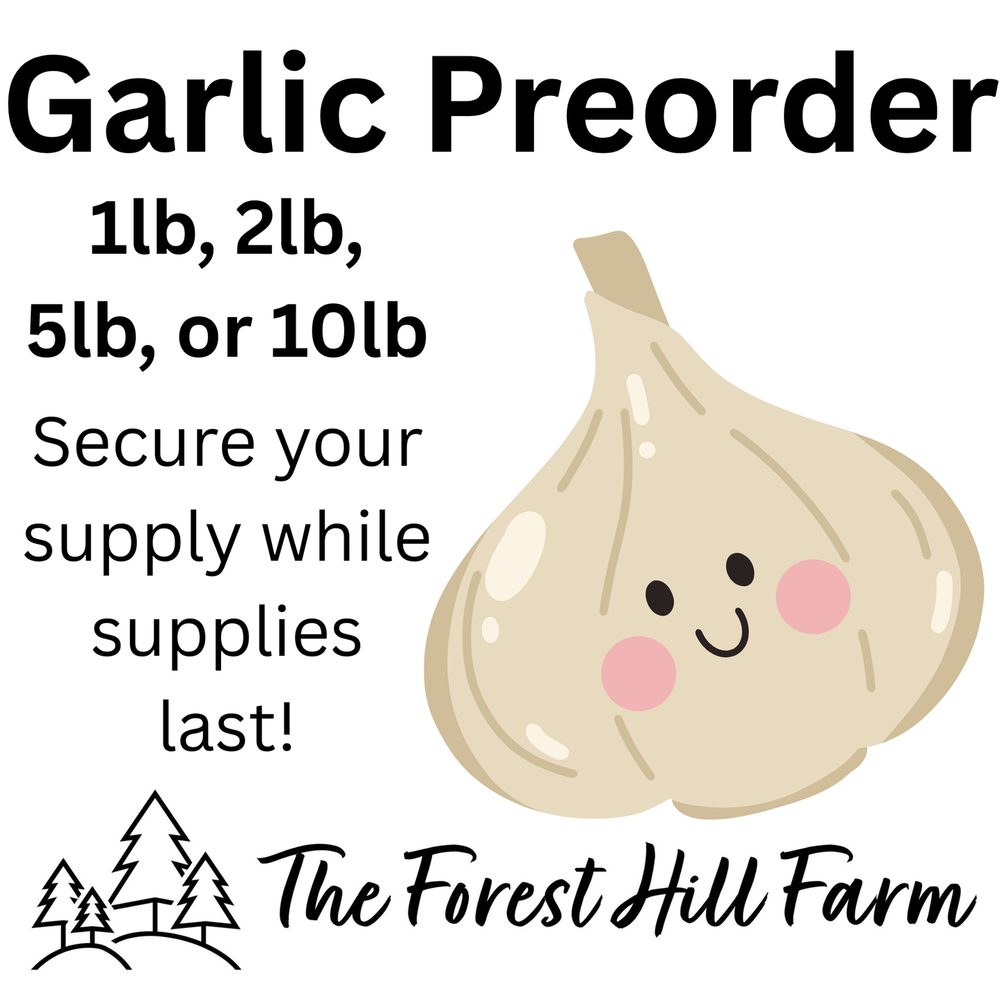 Pre-Order: Red Russian Garlic by the Pound